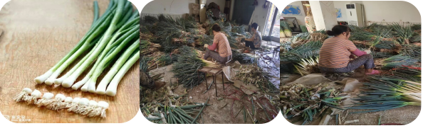 科技惠民生 智造暖乡村！ ——大葱智能装备守护餐
