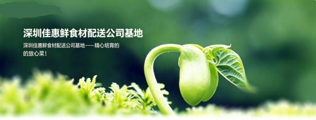 佳惠鲜食材配送：源头直采构建食材安全闭环的专业配送服务商