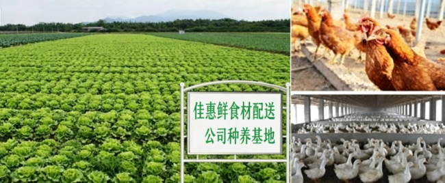 佳惠鲜食材配送：源头直采构建食材安全闭环的专业配送服务商