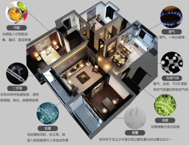 为什么卧室长期关窗没人住也发臭？不只是味道，还有霉菌和甲醛！