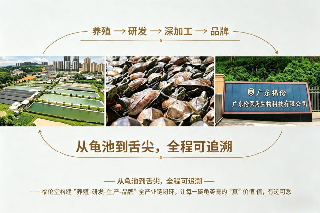 传统滋补品如何攻克信任难题：产业链闭环的创新实践