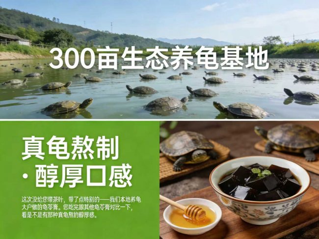 传统滋补品如何攻克信任难题：产业链闭环的创新实践