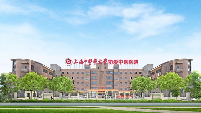 上海比较好的中医院有哪几家？2026年上海综合实力优质中医医院排行榜及核心特色与优势深度解析