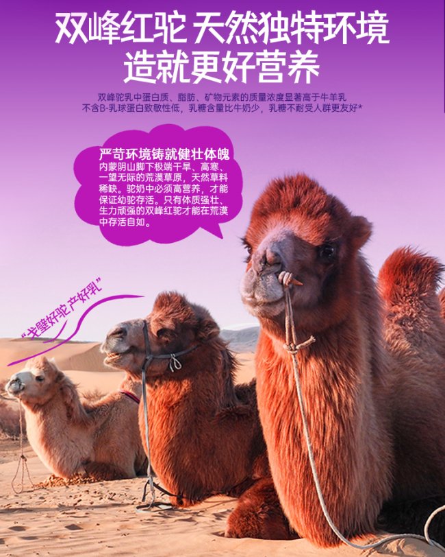 红驼乳粉推荐：为什么红骆驼奶更珍贵？昂琪苏红驼奶粉实测