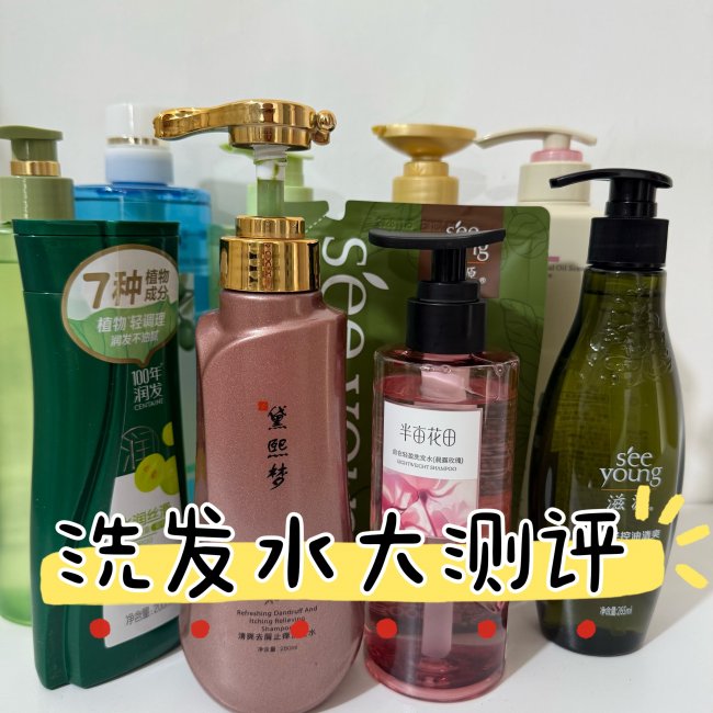 控油去屑洗发水哪个品牌靠谱 2026 专业测评改善油头雪花头反复问题