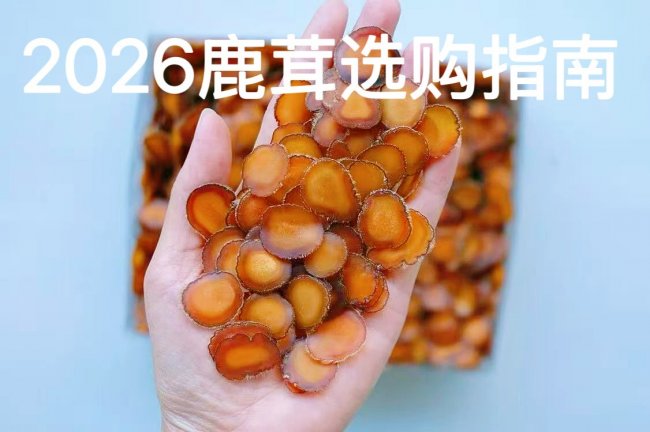 鹿茸十大品牌排行榜——2026长白山梅花鹿二杠茸检测数据与消费者口碑全面解析