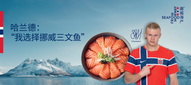 从餐厅到自家厨房,哪里的三文鱼生吃品质好?挪威三文鱼成口碑之选
