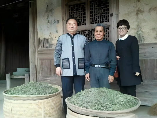 茶香润端午文脉续千年——传统节气与中华茶文化的时代共生