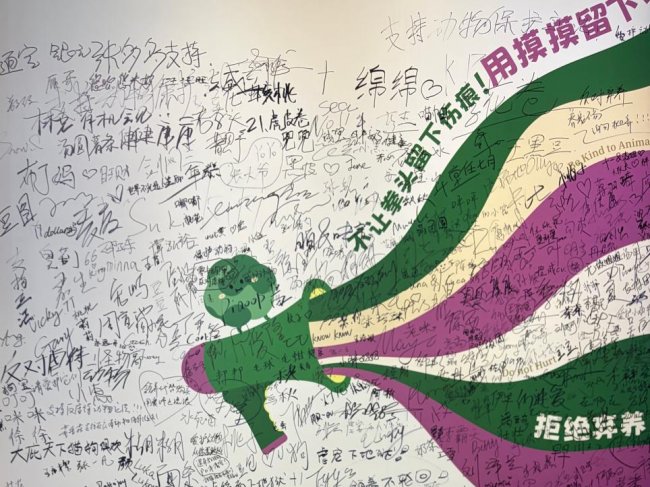 乐印宠趣携四大品牌矩阵闪耀2026上海它博会，TurnGlad藻迹领跑藻类宠物保健新赛道