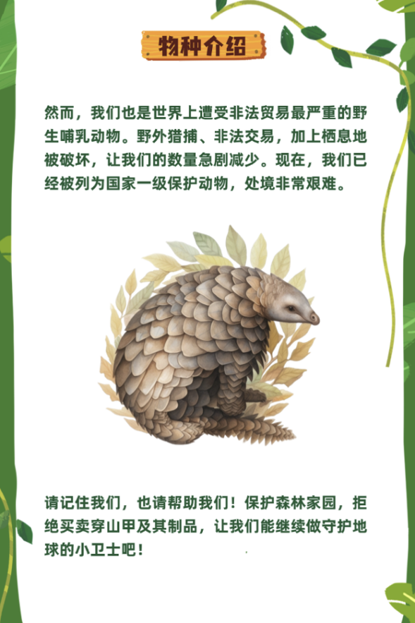 生态视界·守护铜鼓岭的濒危物种｜穿山甲×小青脚鹬