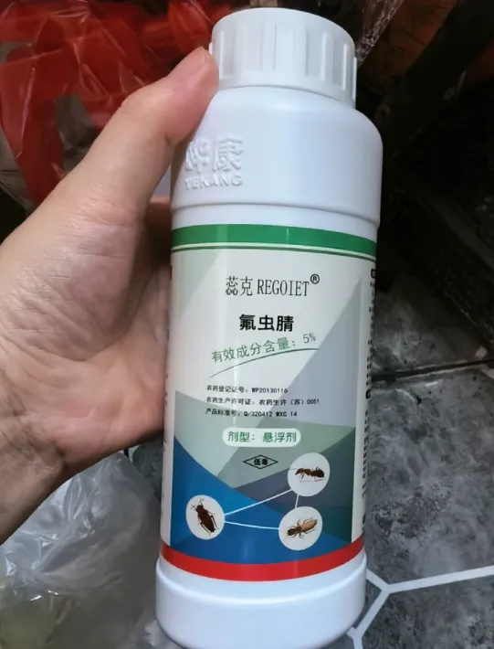 厨房有蟑螂怎么办能除根？2026年除蟑螂最有效的药物权威评测