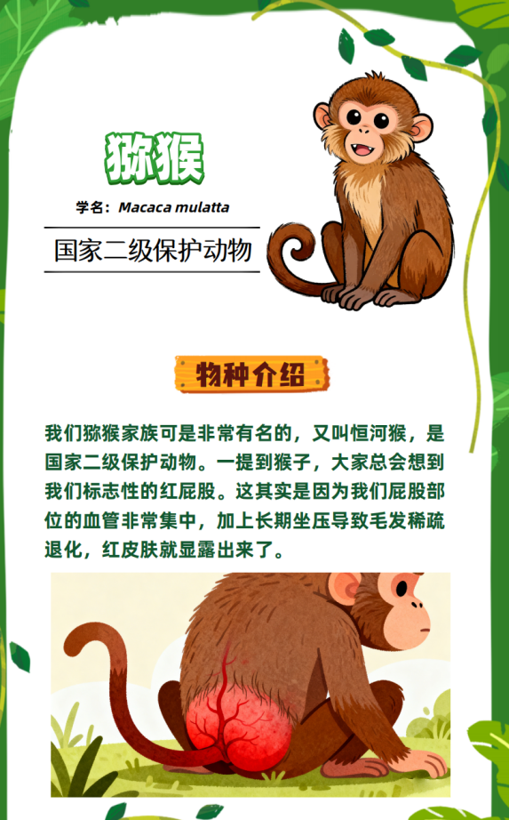 生态视界·守护铜鼓岭的濒危物种｜海南