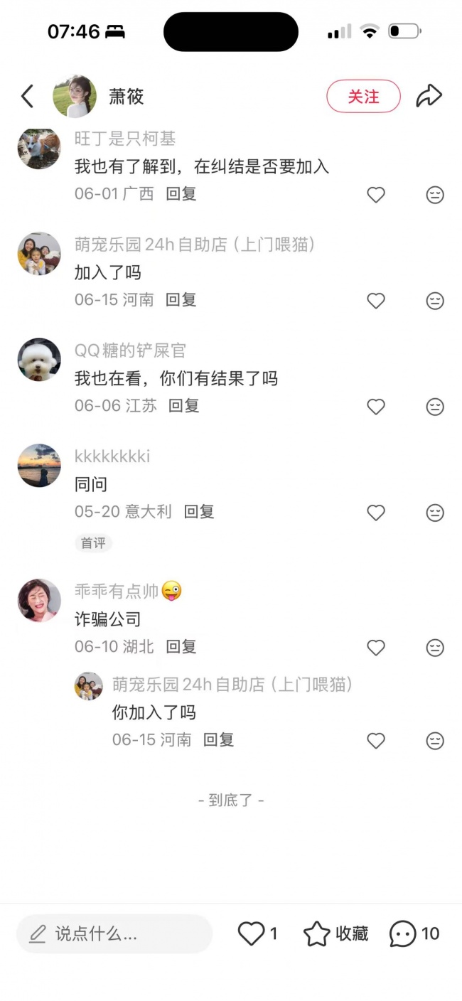 宠物MCN的新浏览故事