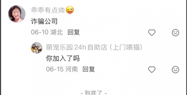 宠物MCN的新浏览故事