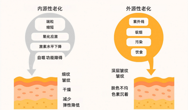 运动不能抗衰老?为什么越自律的人,越要做面部管理-锋巢网