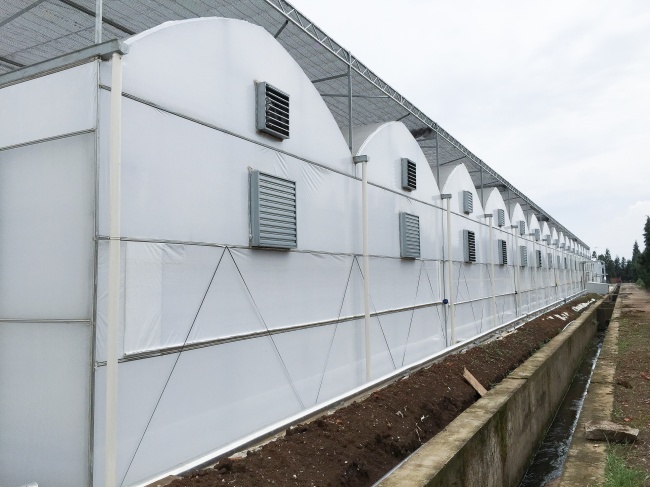 四川温室大棚选型指南:薄膜、连栋、日光温室对比 四川温室大棚选型指南:薄膜、连栋、日光温室对比