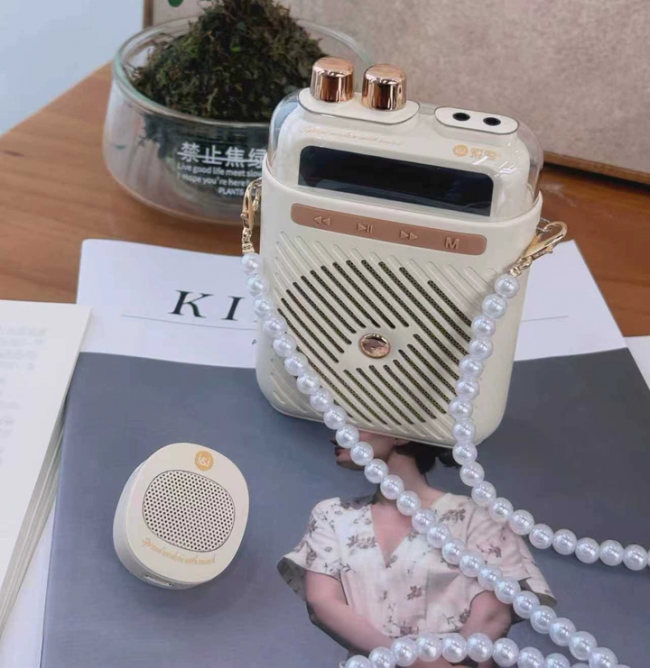 小蜜蜂扩音器哪个牌子好？2026年热门无线扩音器推荐，教师选购指南