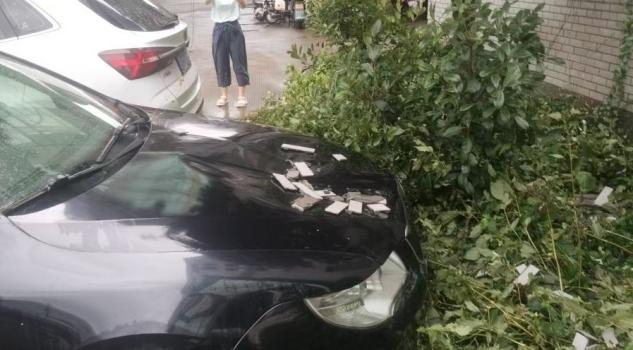 台风无情 平安有情！20分钟极速赔付暖人心