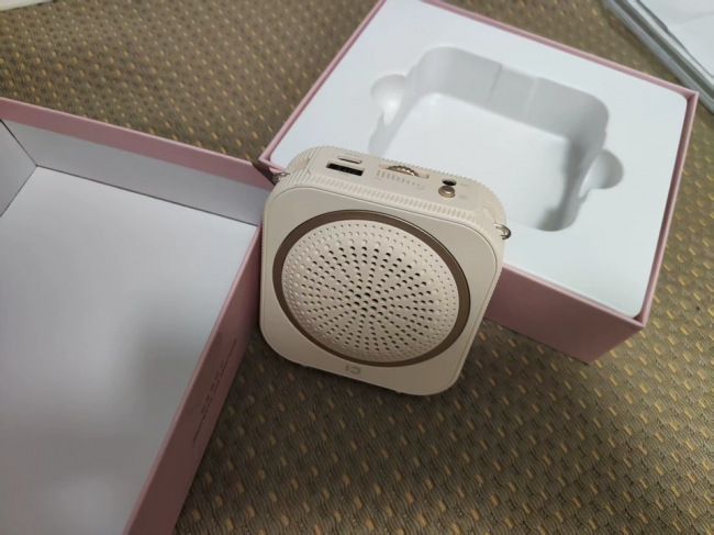 小蜜蜂扩音器哪家好?推荐2026年十大优质款式,值得信赖!