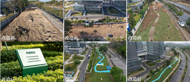 图片[2]-中山市两项公园改造工程完工，居民家门口又添好去处-华闻时空