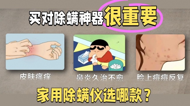 除螨吸尘器哪个牌子的比较好?家用除螨仪真的有效果吗?2026十大耐用又省心的除螨仪品牌推荐,哪个牌子好一看便知