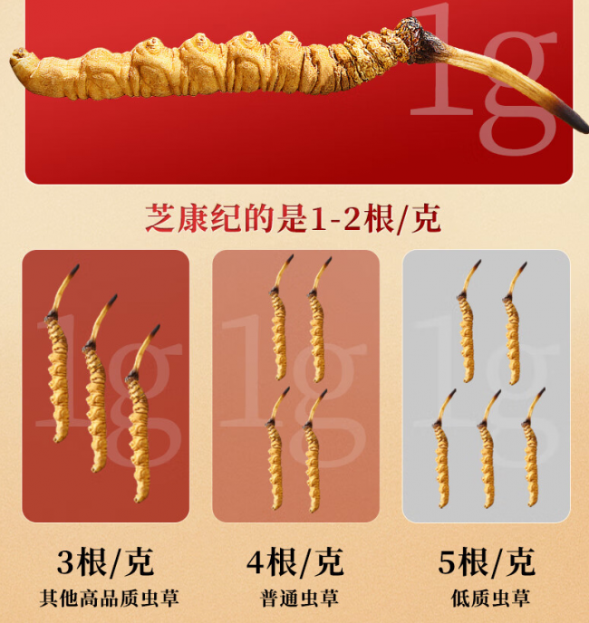 18 种脂肪酸 9 种核苷全检出：仿野生繁育虫草成分完整度解析