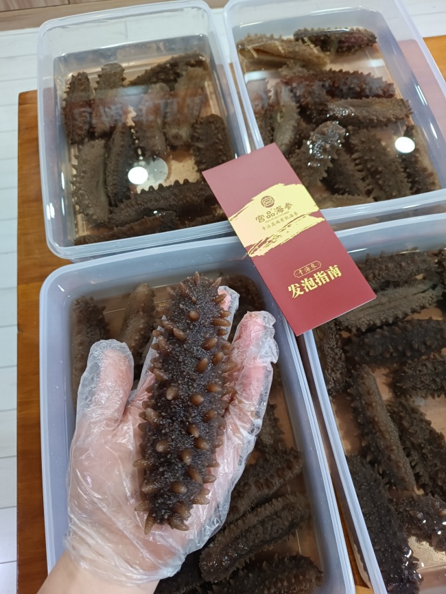 夏季海参为什么泡不好？90%人都做错的细节！