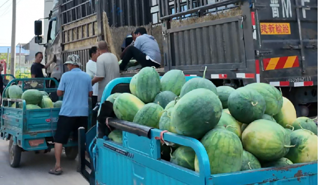 一车西瓜跨千里，双向温情解农忧