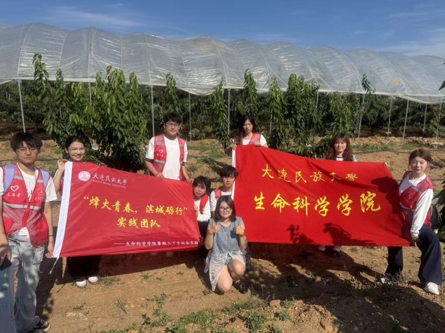 “樱”你而美，爱在大连——拯救北纬39°