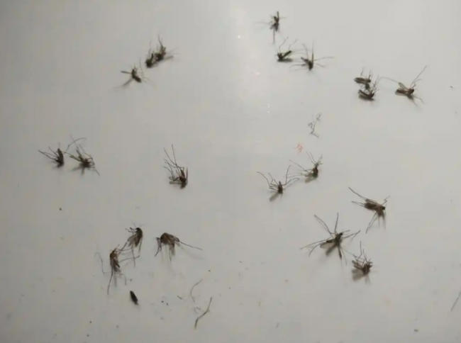 开学季宿舍好物清单|2026十款刚需小家电,新生老生闭眼入,宿舍生活幸福感翻倍!
