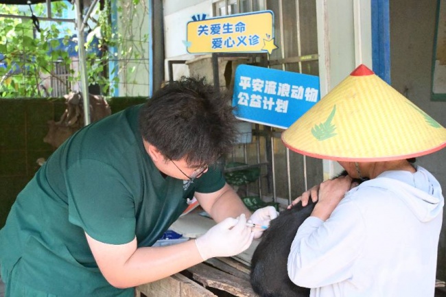 “流浪动物守护计划”公益活动