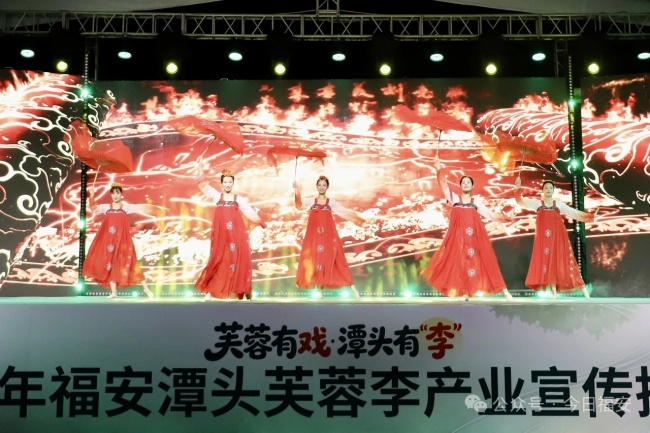 福安潭头芙蓉李产业宣传推介周启动