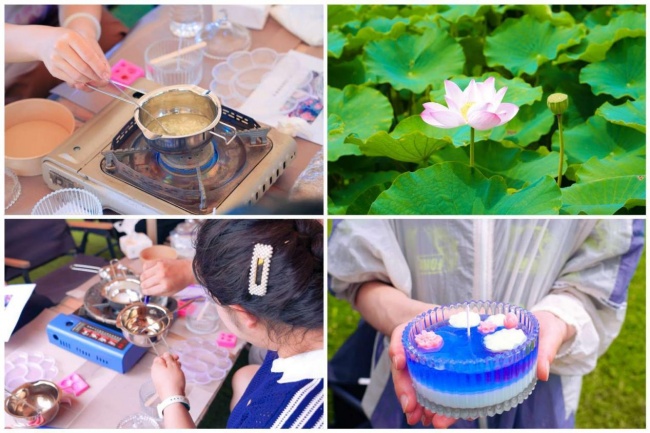 漫夏扶莲入乡野 金融守护和美家——光大银行昆明分行走进澄江马房村开展乡村金融宣教活动