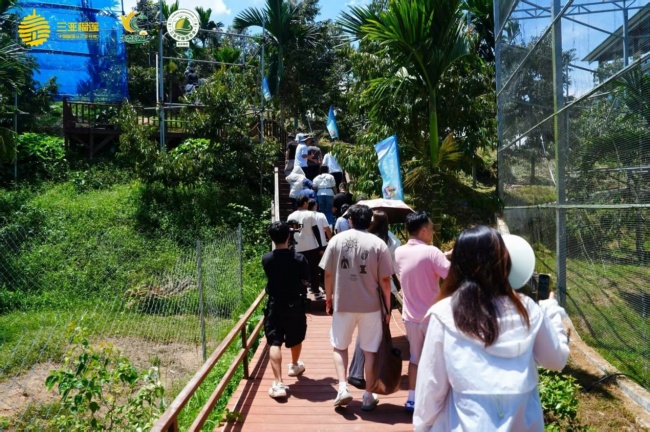 “榴”住夏天！育才特色农产品市集+榴莲嘉年华，解锁“热带风情”新玩法