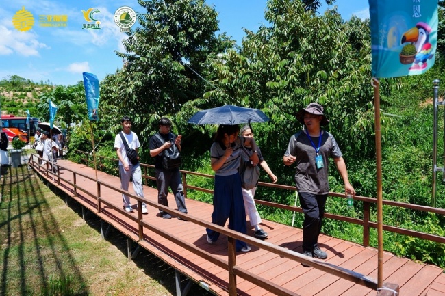 全国渠道商“探厂”优旗大嘴鸟榴莲基地，揭秘“树上熟”背后的供应链底气