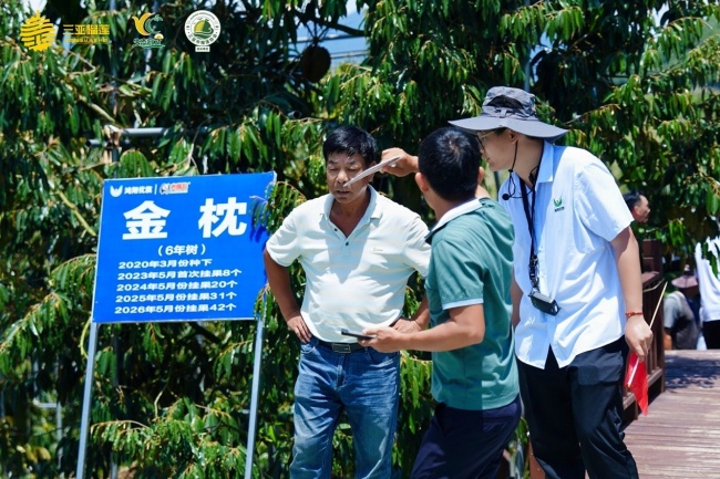 全国渠道商“探厂”优旗大嘴鸟榴莲基地，揭秘“树上熟”背后的供应链底气