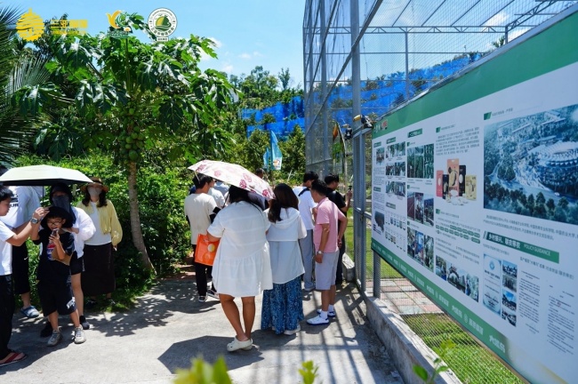 全国渠道商“探厂”优旗大嘴鸟榴莲基地，揭秘“树上熟”背后的供应链底气