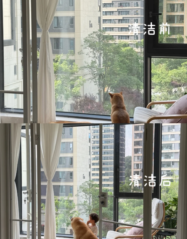 高层擦窗机器人哪款好用又省心？2026家用擦窗机器人推荐，10款热门机型实测对比