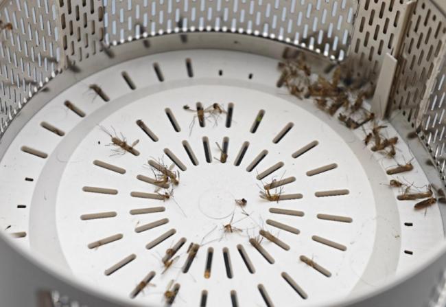质量好的灭蚊灯有哪些?灭蚊器哪个种类的好一点?必看TOP10热门灭蚊灯品牌测评