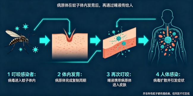 吸入式灭蚊灯怎么样?电驱蚊器哪个牌子好?精选十款年度爆款灭蚊灯测评,任你选!