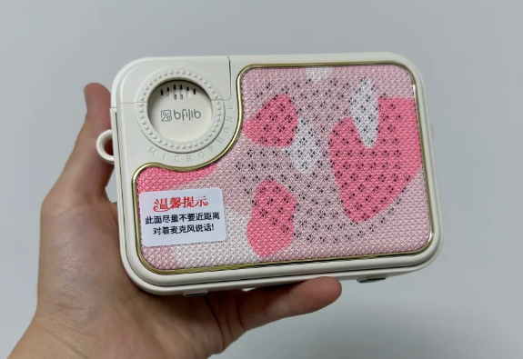 扩音器好用吗?扩音器哪个品牌好点?2026扩音器排行榜前十名参考