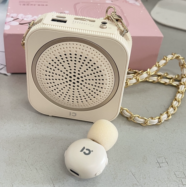 扩音器好用吗?扩音器哪个品牌好点?2026扩音器排行榜前十名参考