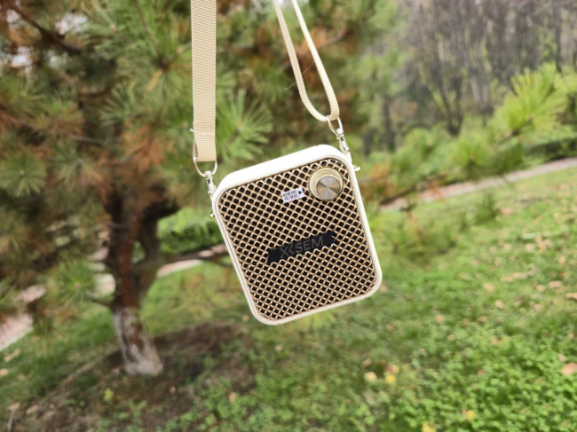 哪个扩音器的牌子适合教师用？哪个牌子质量好？十款扩音器测评