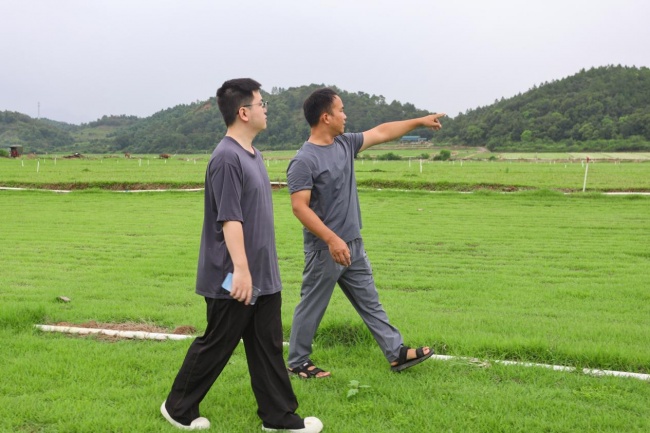 一群大学生把创业课搬到田间地头，点赞！——广财学子为清远寿江村擘画“三年之约”