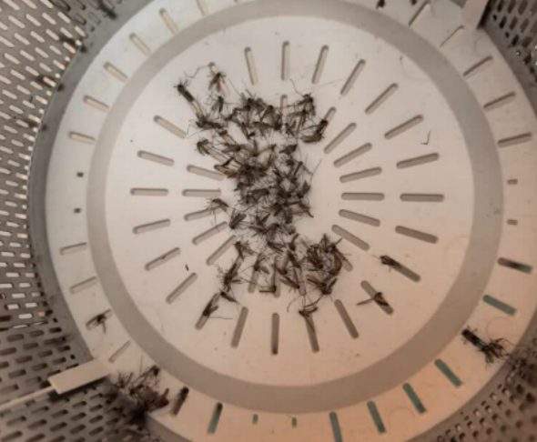 灭蚊器哪个好用又实惠?灭蚊灯最厉害三个牌子有哪些?口碑灭蚊器十大品牌排行榜最新!避坑必看