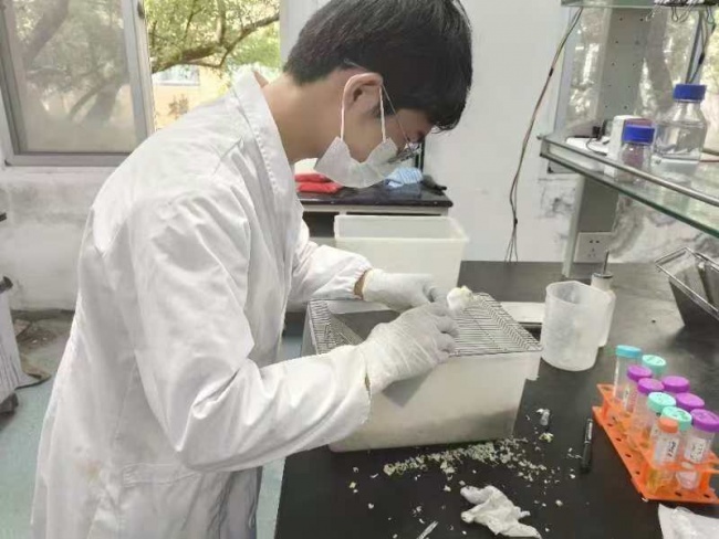 南昌大学团队攻克耐药防控技术难题