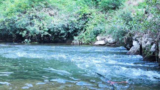 湖南财政经济学院：清溪润乡土，青春赴绿征