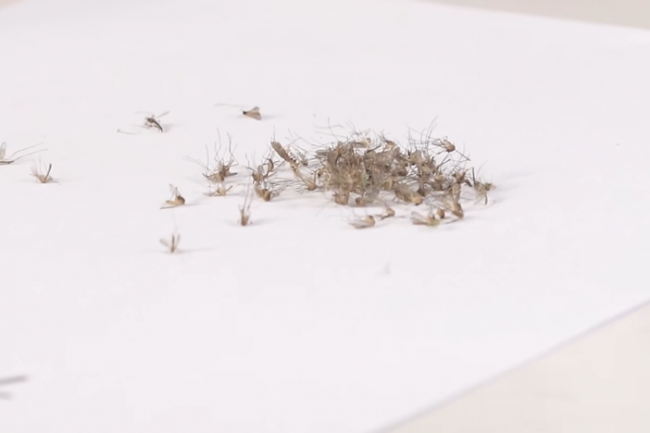 灭蚊灯什么牌子的好?电灭蚊灯哪个牌子好一点?揭秘高人气室内灭蚊灯品牌十大排行榜,夏季必备!