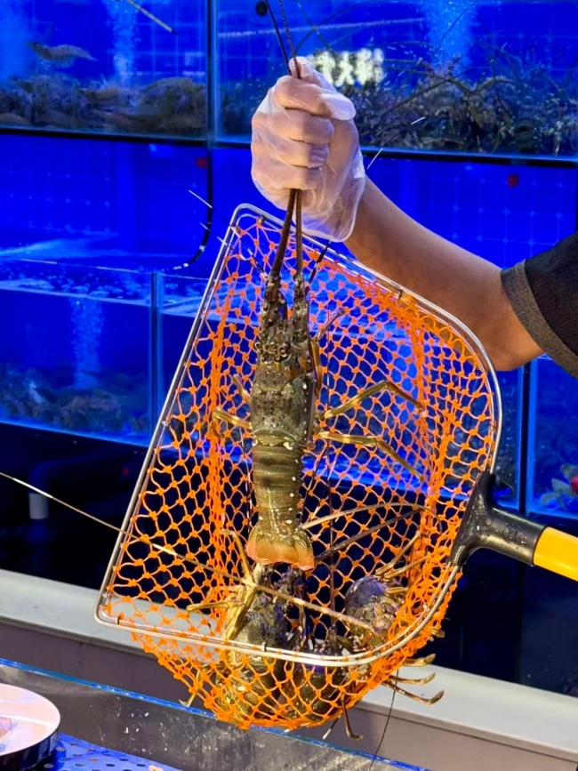 焕新延平烟火味蕾！海大富自选海鲜火锅 8 月 28 日正式试营业