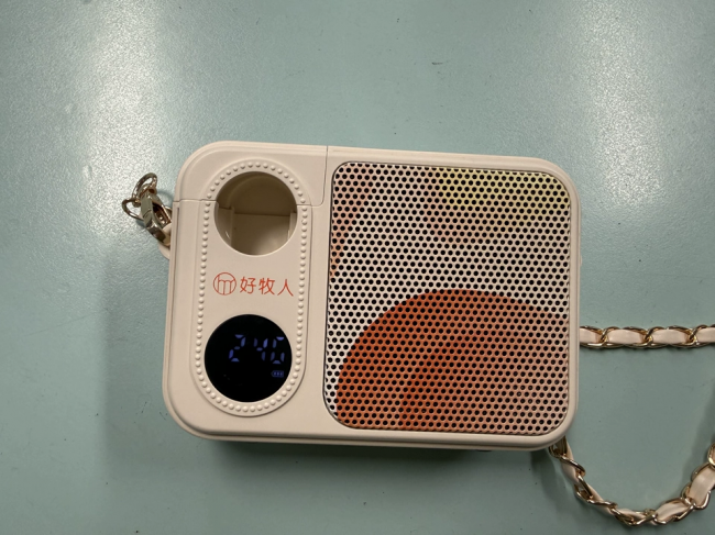 扩音器哪个牌子性价比高?教师小蜜蜂怎么选?十大热门扩音器推荐